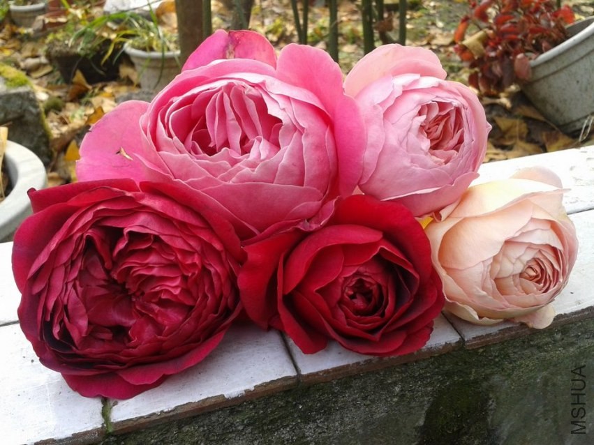 2013-12-07 14.35.55.jpg