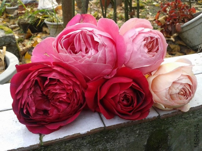 2013-12-07 14.36.00.jpg