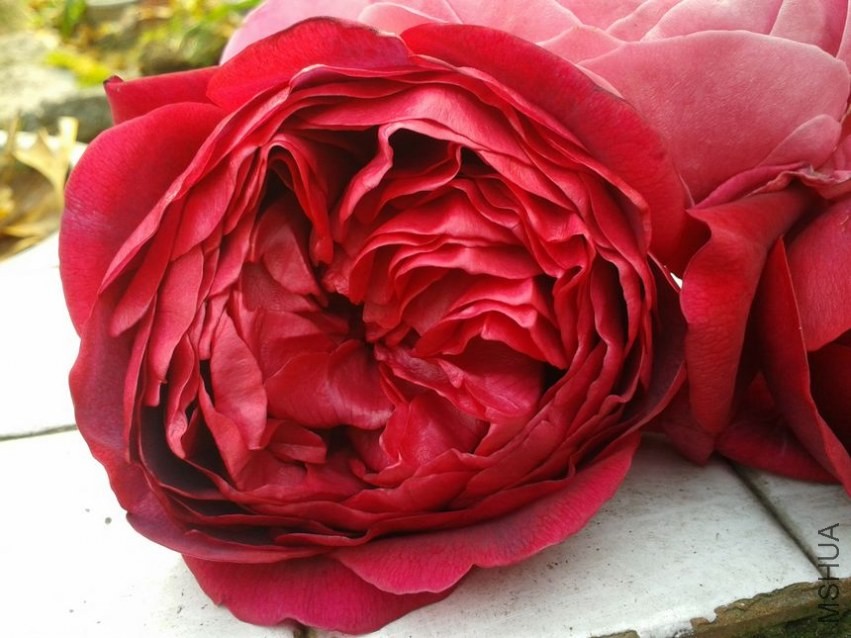 2013-12-07 14.36.06.jpg