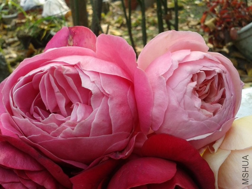 2013-12-07 14.36.18.jpg