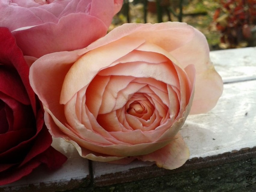 2013-12-07 14.36.24.jpg
