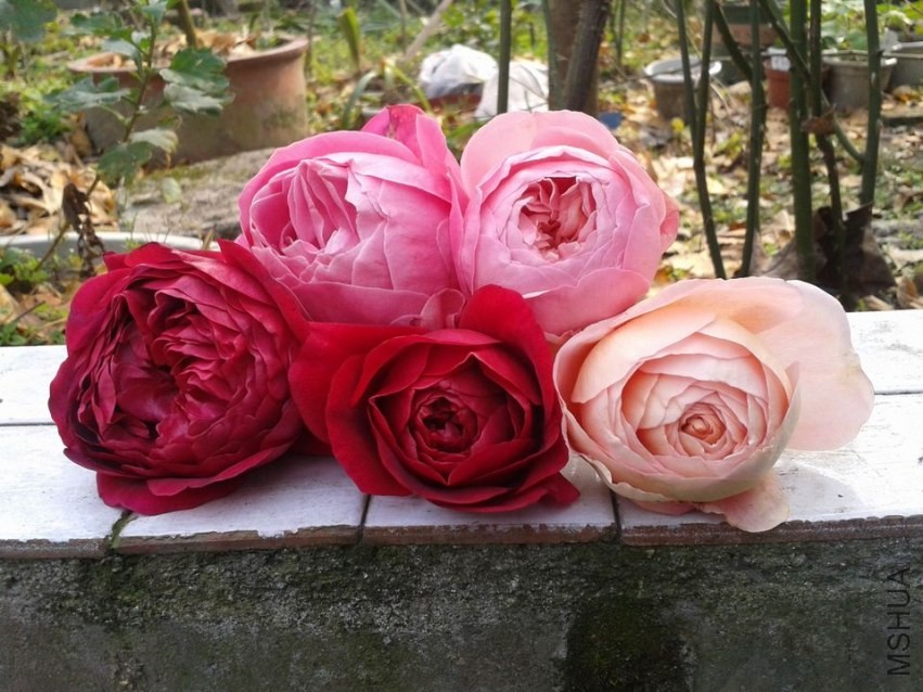 2013-12-07 14.36.32.jpg
