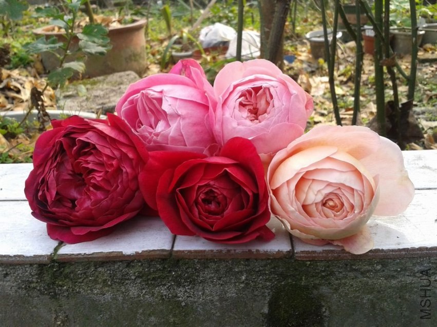 2013-12-07 14.36.36.jpg