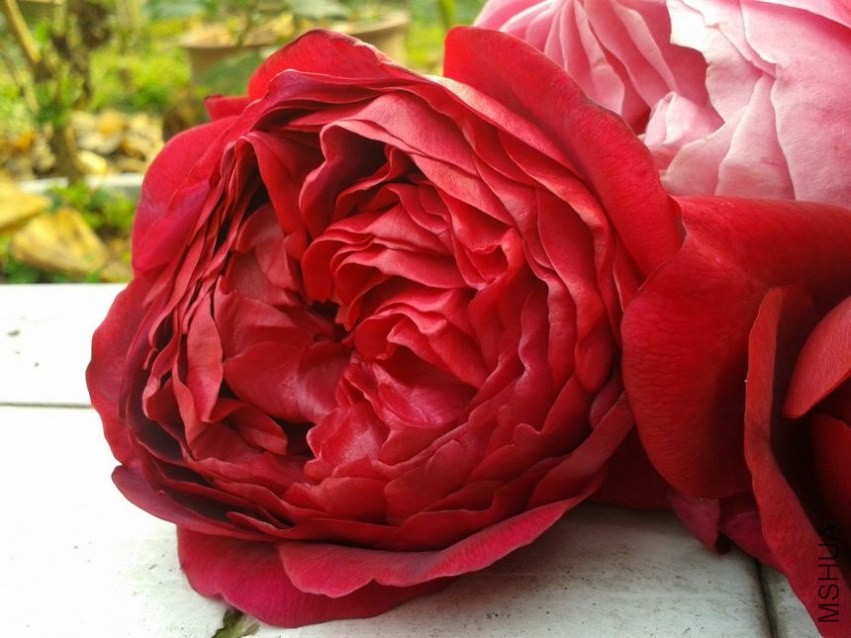 2013-12-07 14.36.48.jpg
