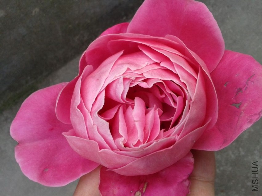 2013-12-07 14.37.24.jpg