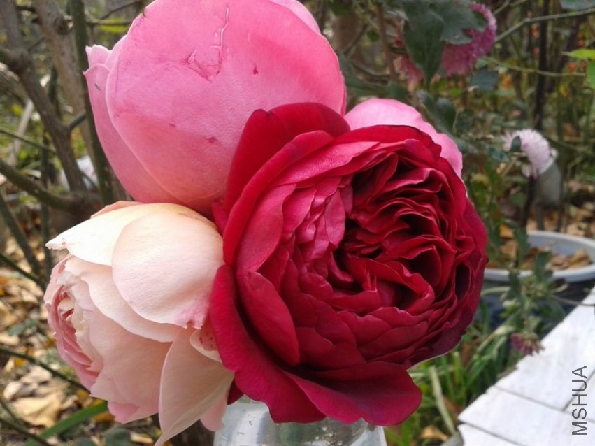 2013-12-07 14.40.58.jpg