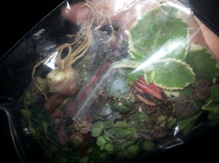 QQͼƬ20131208203032.jpg