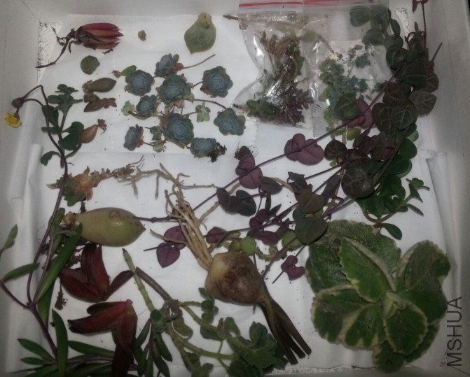 QQͼƬ20131208203058.jpg