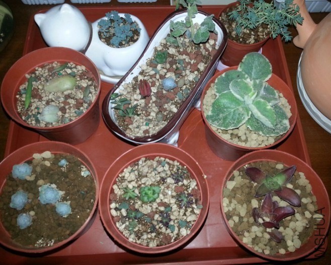 QQͼƬ20131208203111.jpg