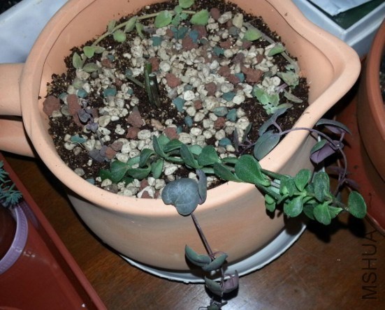 QQͼƬ20131208203121.jpg