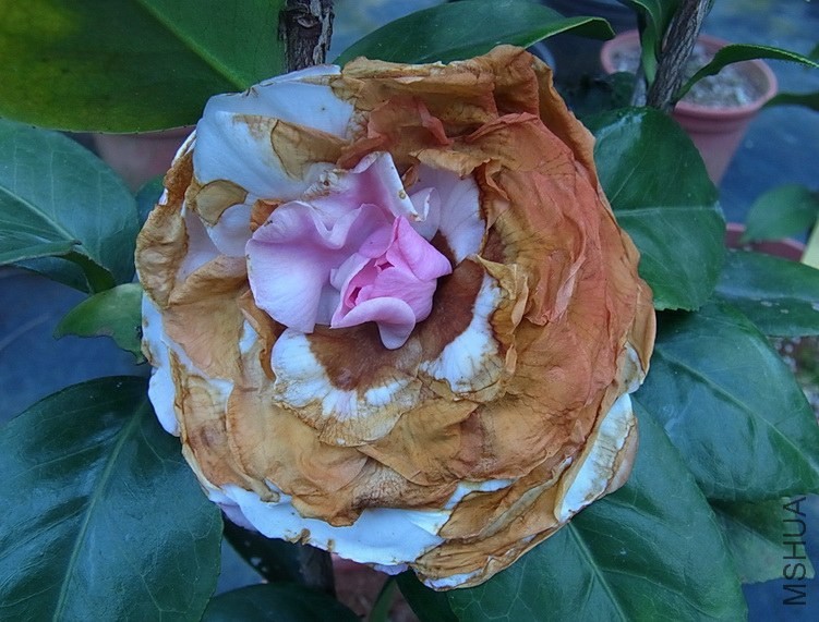 �@�仨�����_ʼ�ݻ�����߀���.�����_�ͳ�����ǘ�.