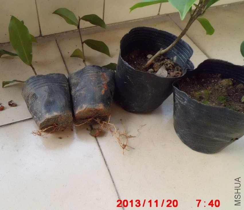 ����С������ȴ��ĳ�