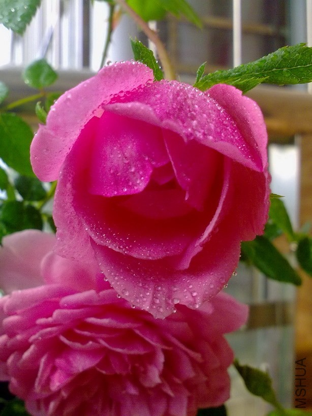 201310132720.jpg