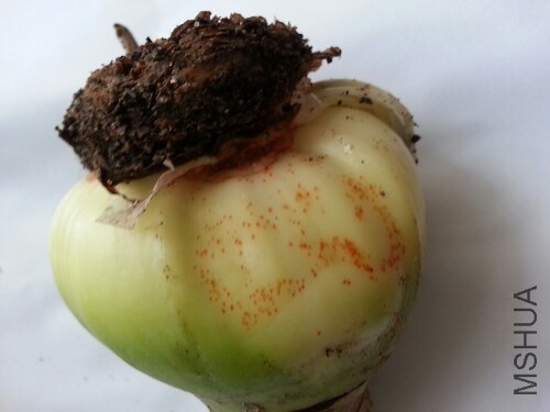 IMG20131209110119.jpg