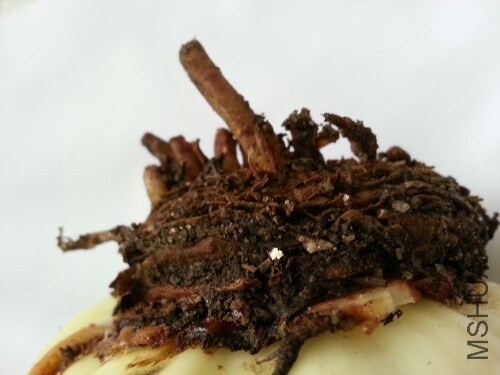 IMG20131209110313.jpg