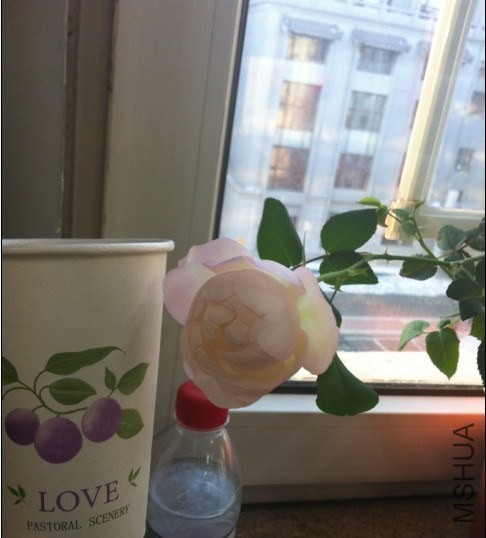 ��ݮ���ʱ�