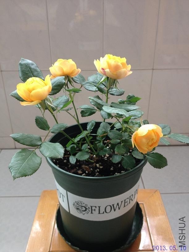 ���� 2013.05.10��4��.JPG