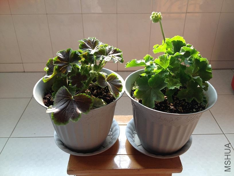 ����&amp;������� 2013.12.08.JPG