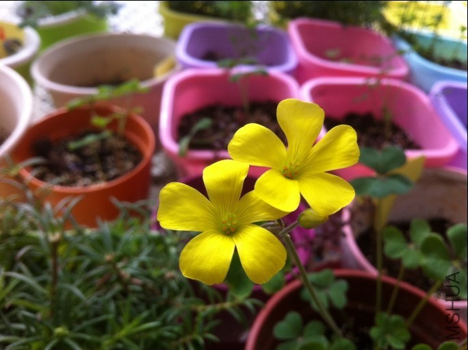 QQͼƬ20131209152753.jpg