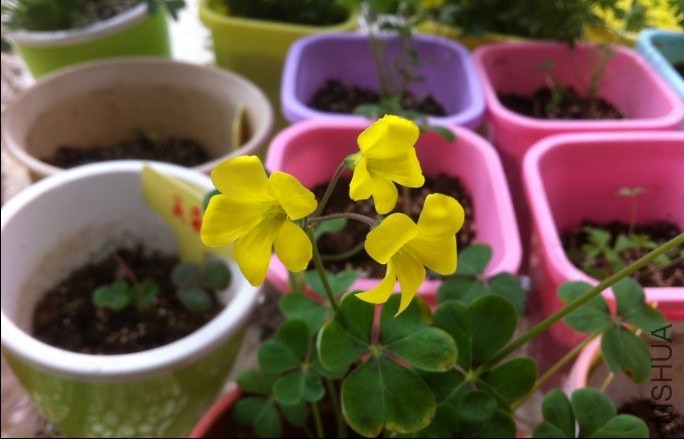 QQͼƬ20131209155419.jpg