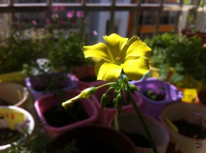 QQͼƬ20131209155437.jpg