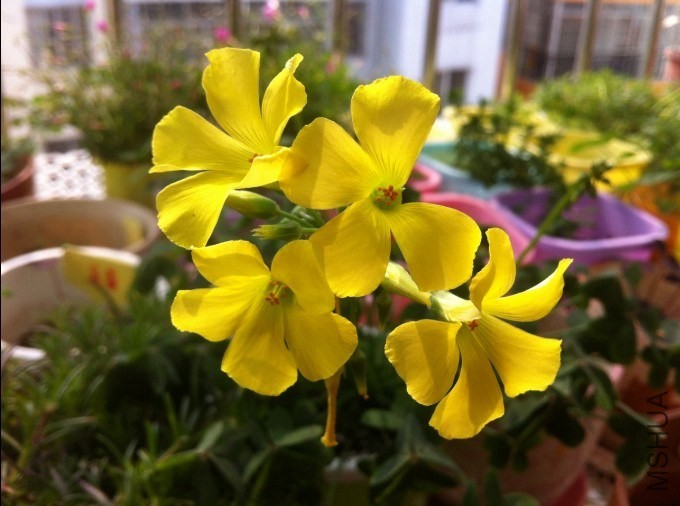 QQͼƬ20131209155501.jpg