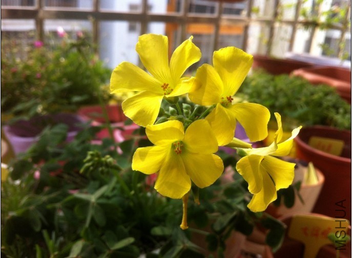 QQͼƬ20131209155527.jpg