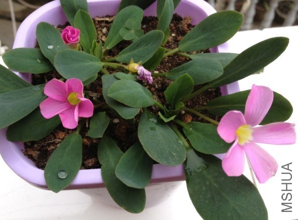QQͼƬ20131209205611.jpg