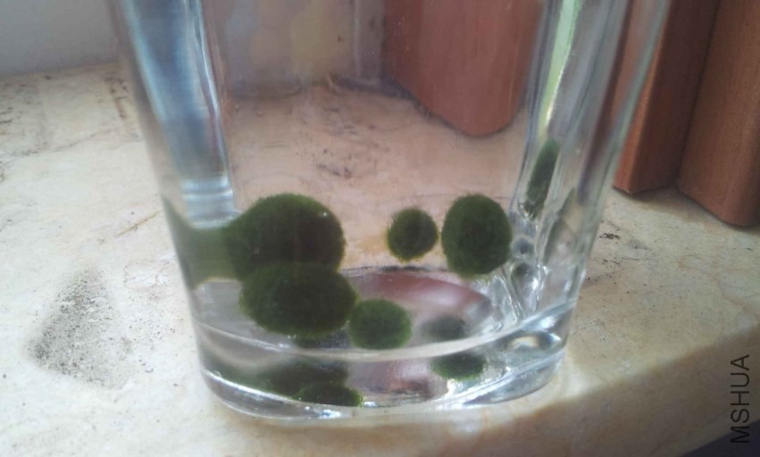 2013-10-03 13.13.53.jpg