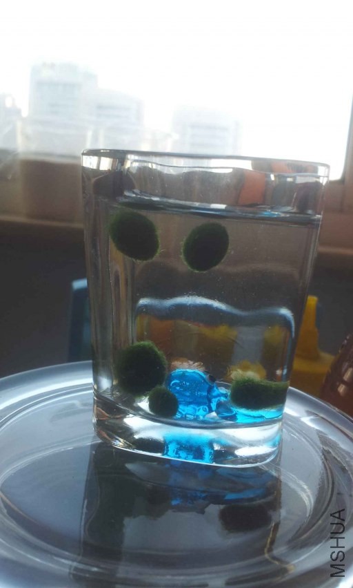 2013-10-03 15.25.09.jpg