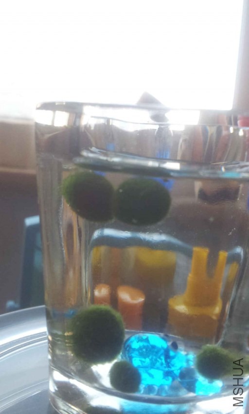 2013-10-03 16.02.15.jpg