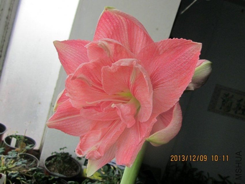 IMG_2417.JPG