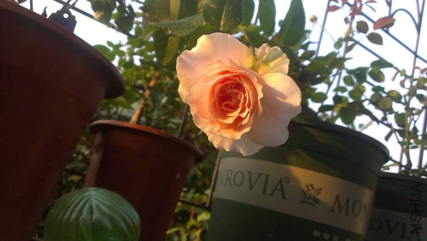 IMAG0293.jpg