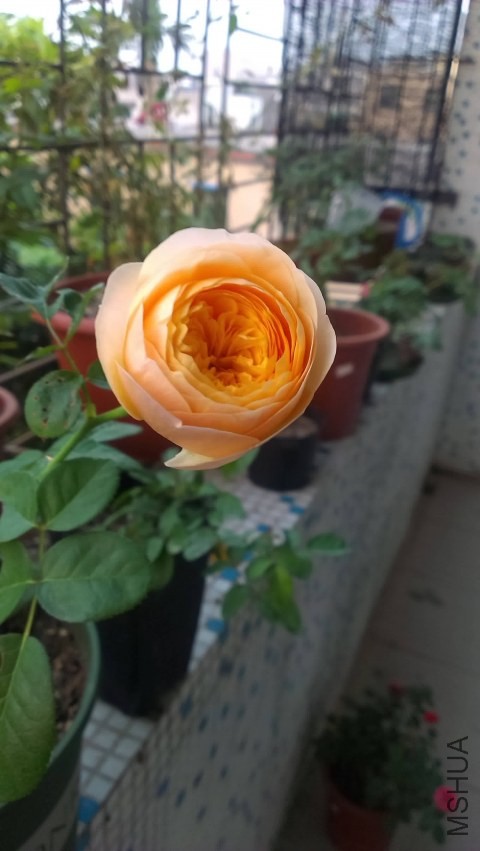 IMAG0303.jpg