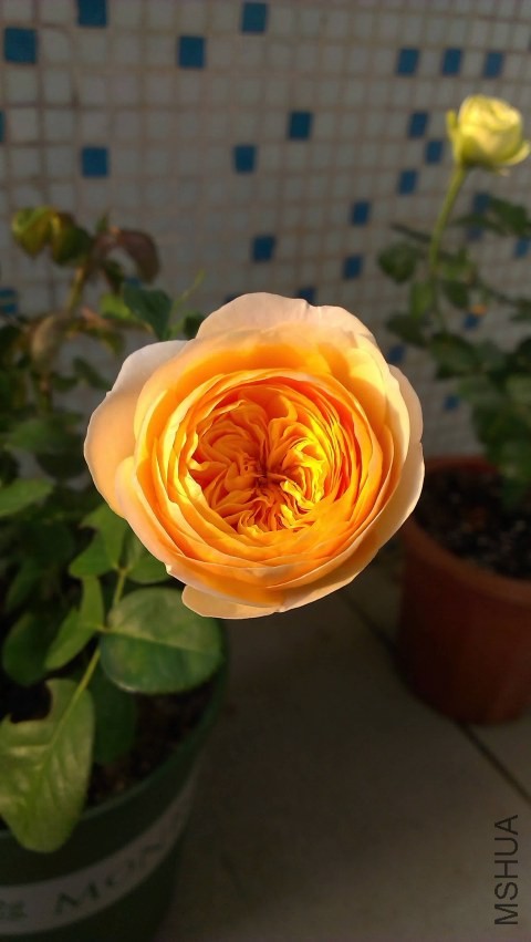 IMAG0313.jpg