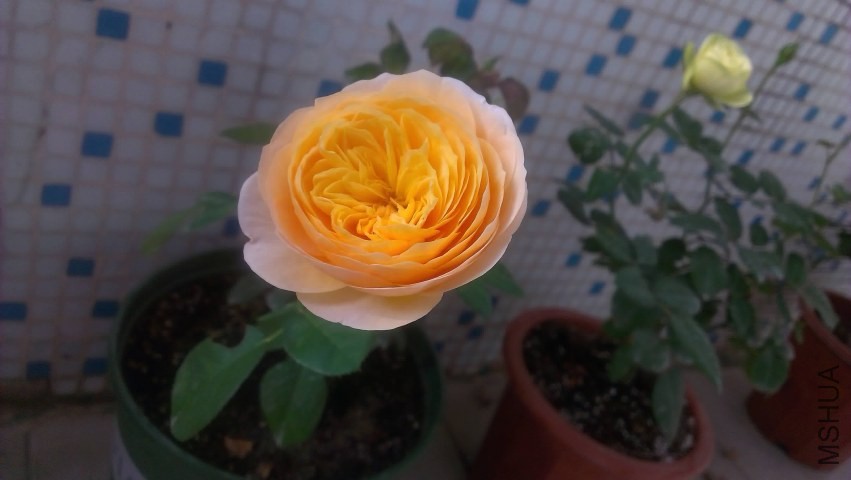 IMAG0318.jpg