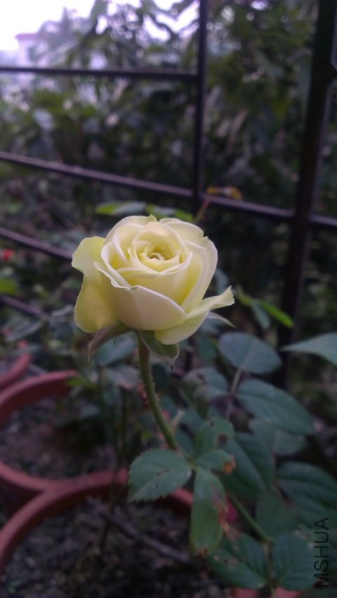 IMAG0306.jpg