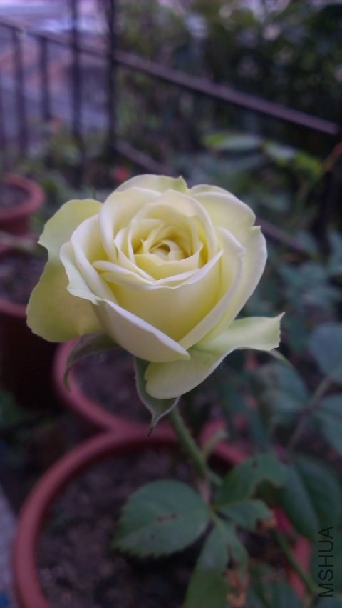 IMAG0307.jpg