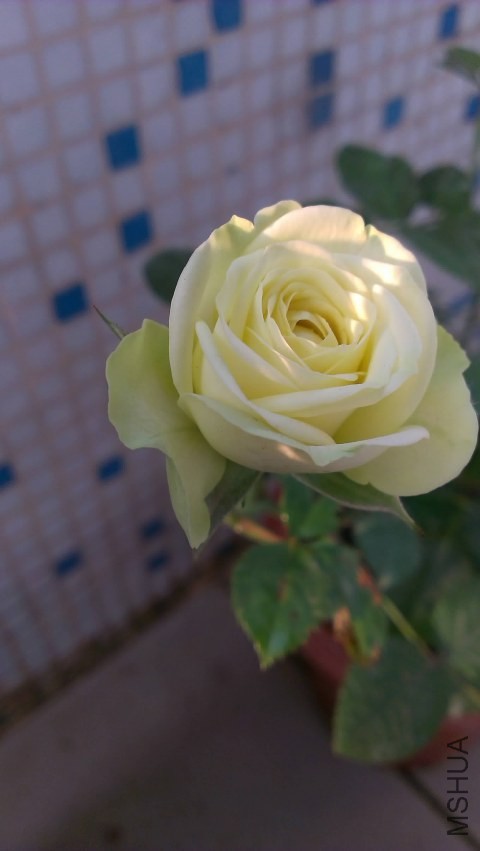 IMAG0314.jpg