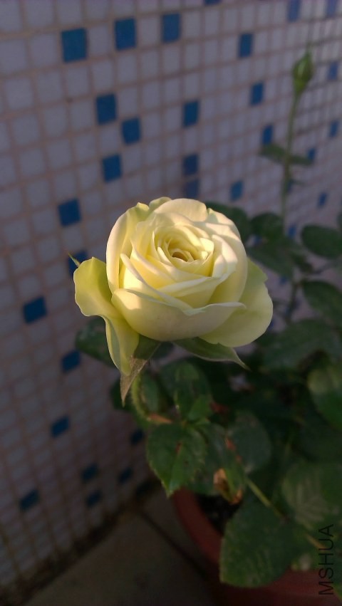 IMAG0315.jpg
