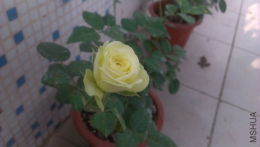 IMAG0319.jpg