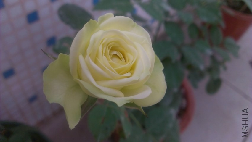 IMAG0320.jpg