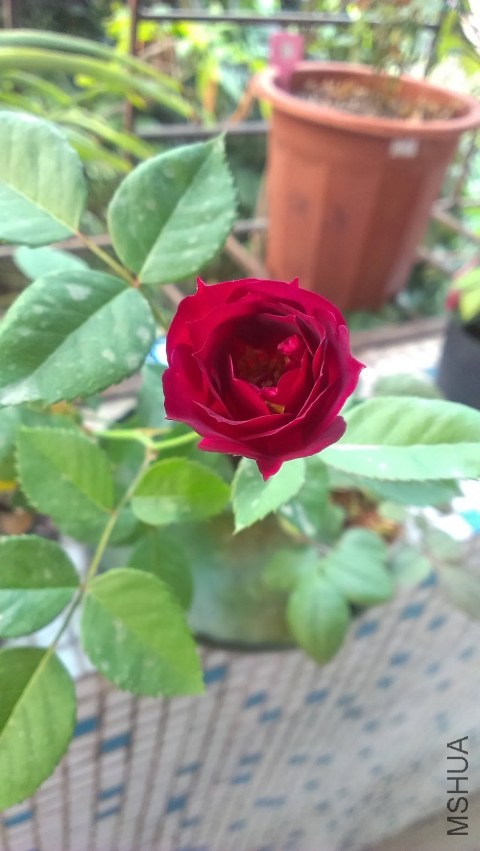 IMAG0308.jpg