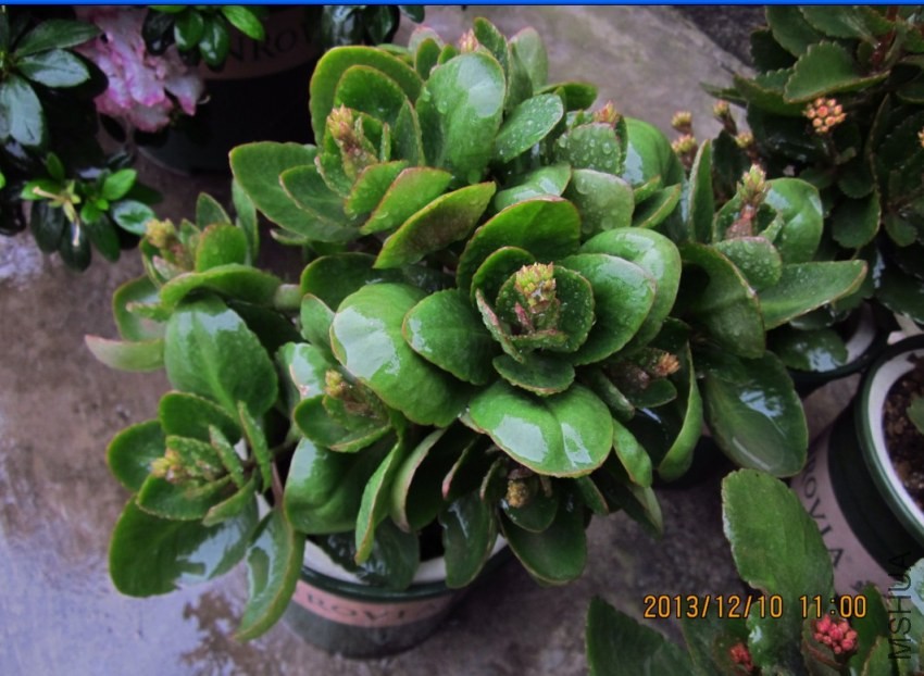 QQͼƬ20131210140044.jpg