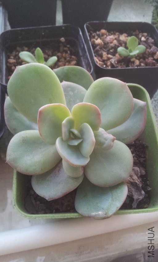 2013-10-28 16.42.00.jpg