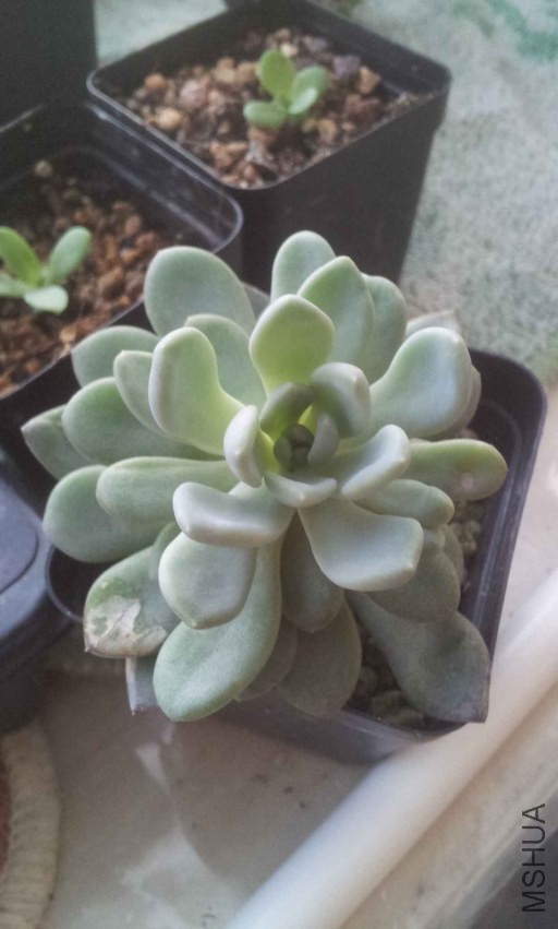 2013-10-28 16.42.22.jpg