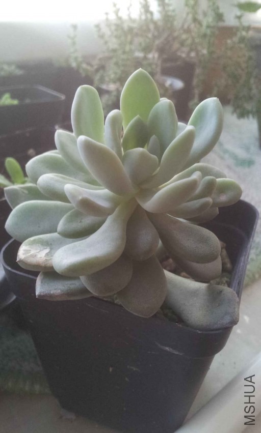 2013-10-28 16.42.36.jpg
