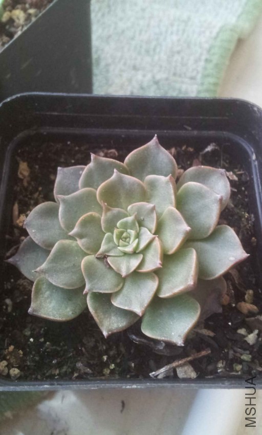 2013-10-28 16.42.56.jpg
