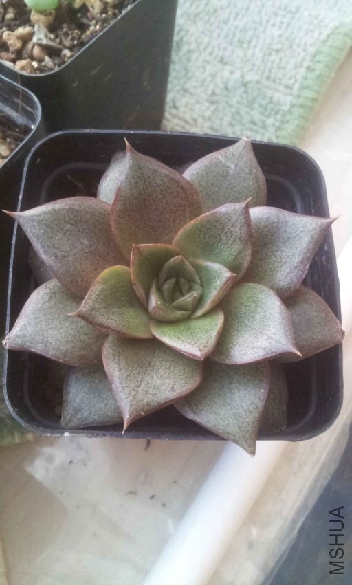 2013-10-28 16.43.21.jpg