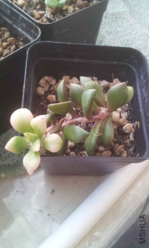 2013-10-28 16.43.35.jpg